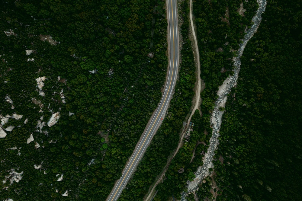 aerial view of road between green trees