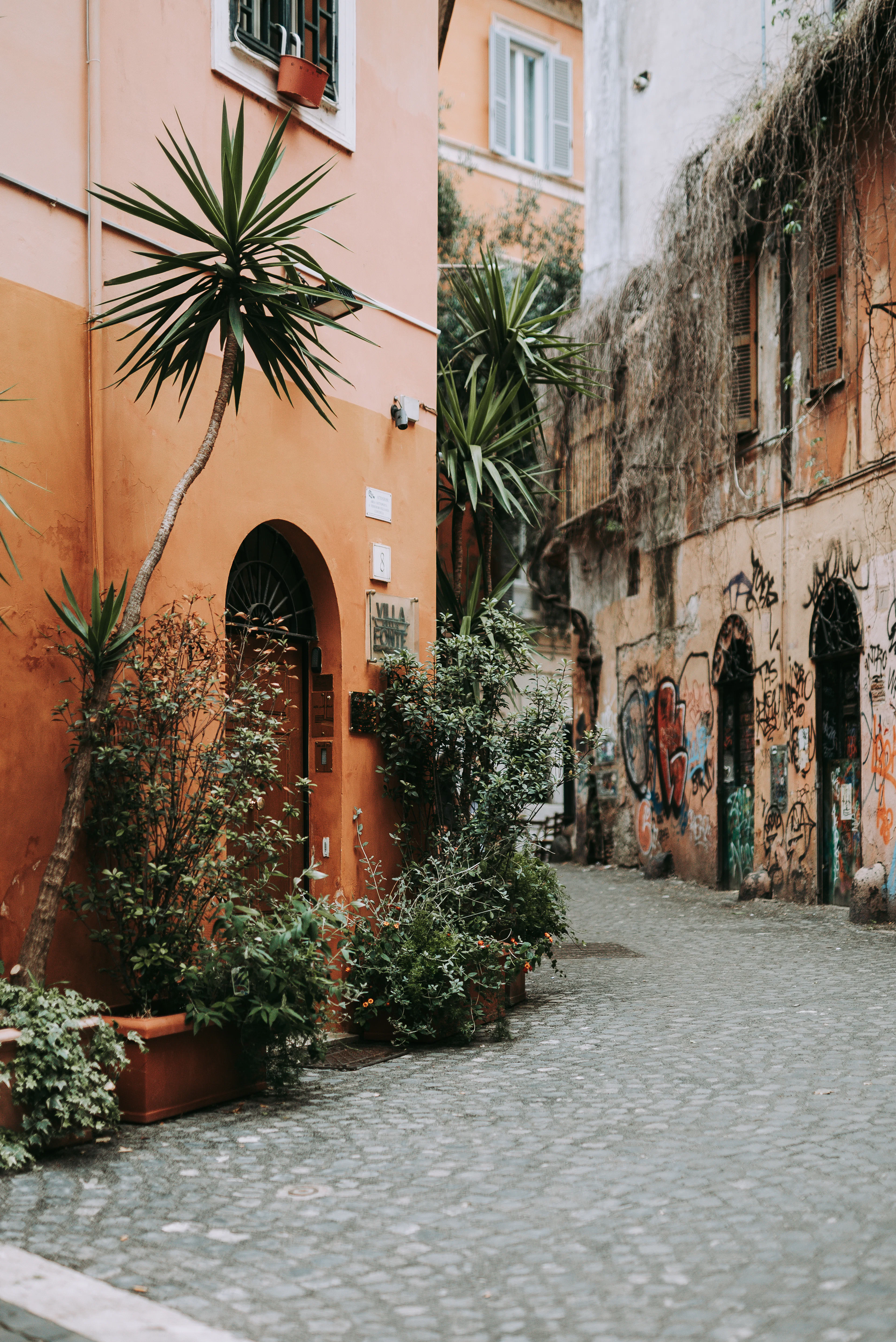 A cobbled lane in Rome — ochre walls, an arched doorway framed by yuccas and pots of greenery, sampietrini underfoot