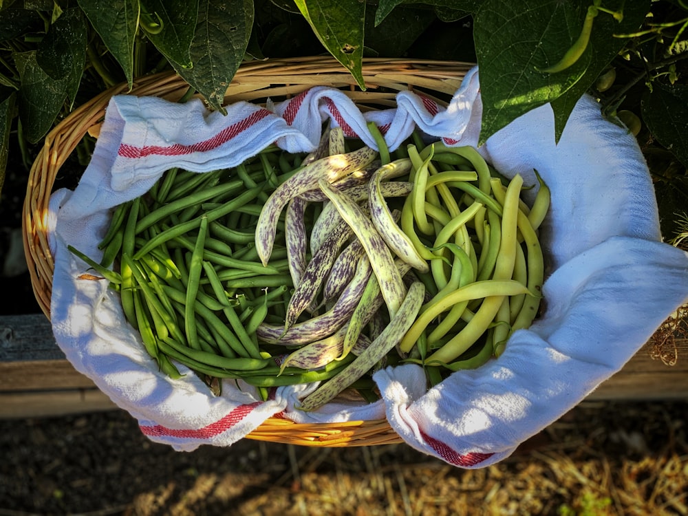 green and white chili on blue and white textile