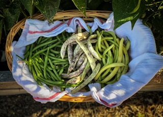 green and white chili on blue and white textile