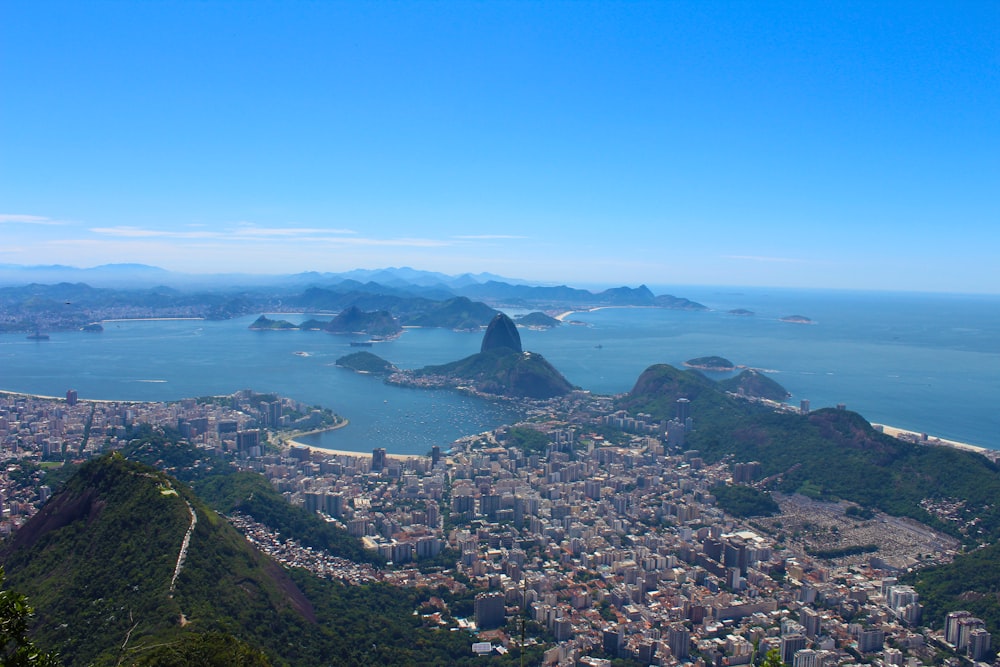 aerial view of city buildings during daytime