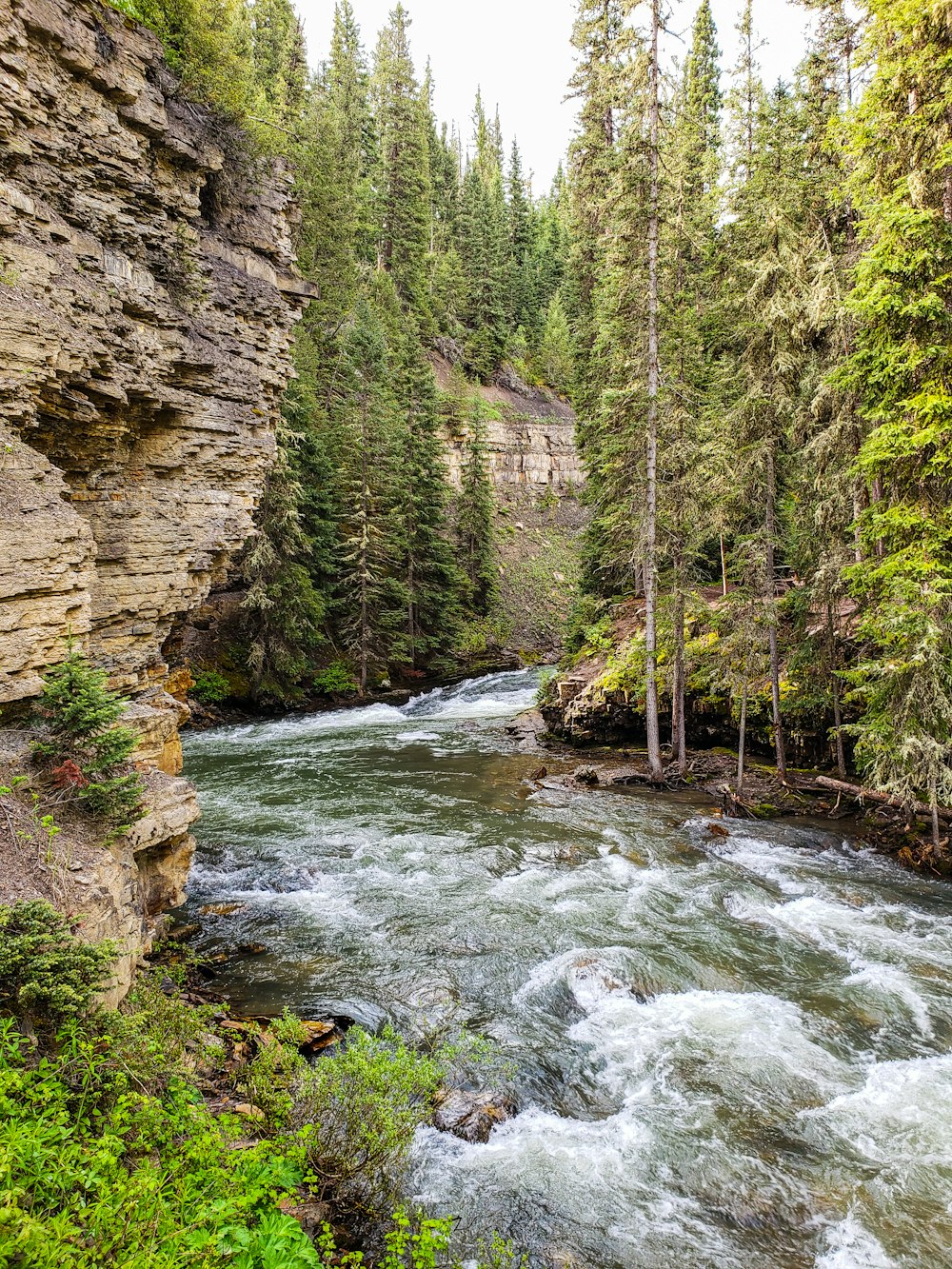 river between rocky mountain during daytime