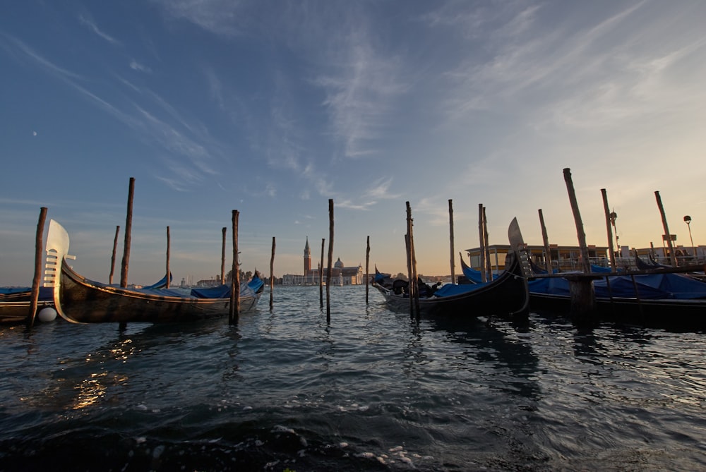 blue and brown boat on water under blue sky during daytime