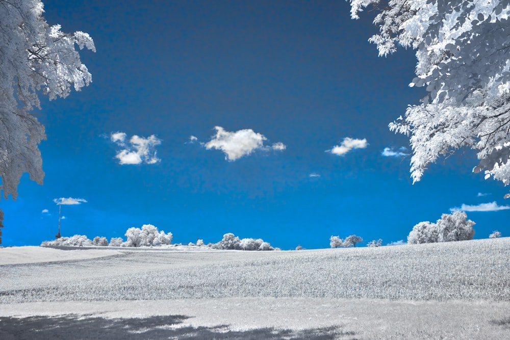 昼間の青空に白い雪原