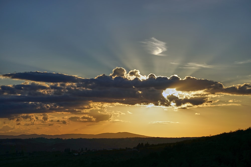 silhouette of trees under cloudy sky during sunset