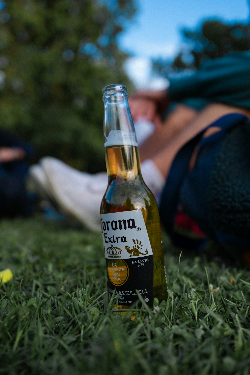 corona extra beer bottle on green grass