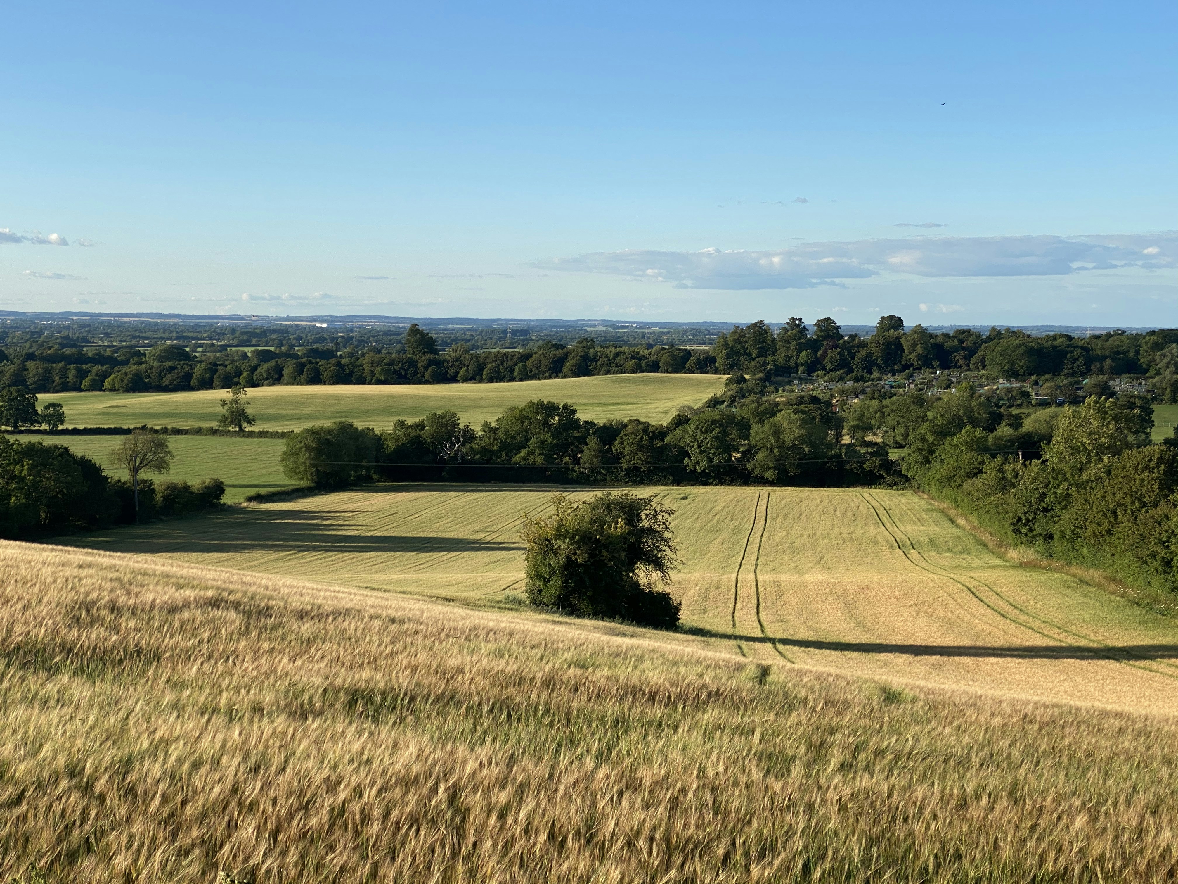 Photo by bearded_oxon