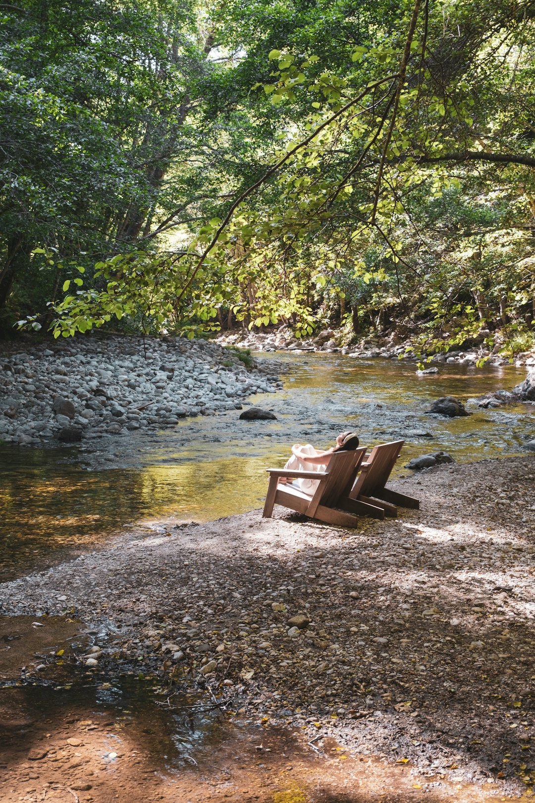 brown wooden bench near river