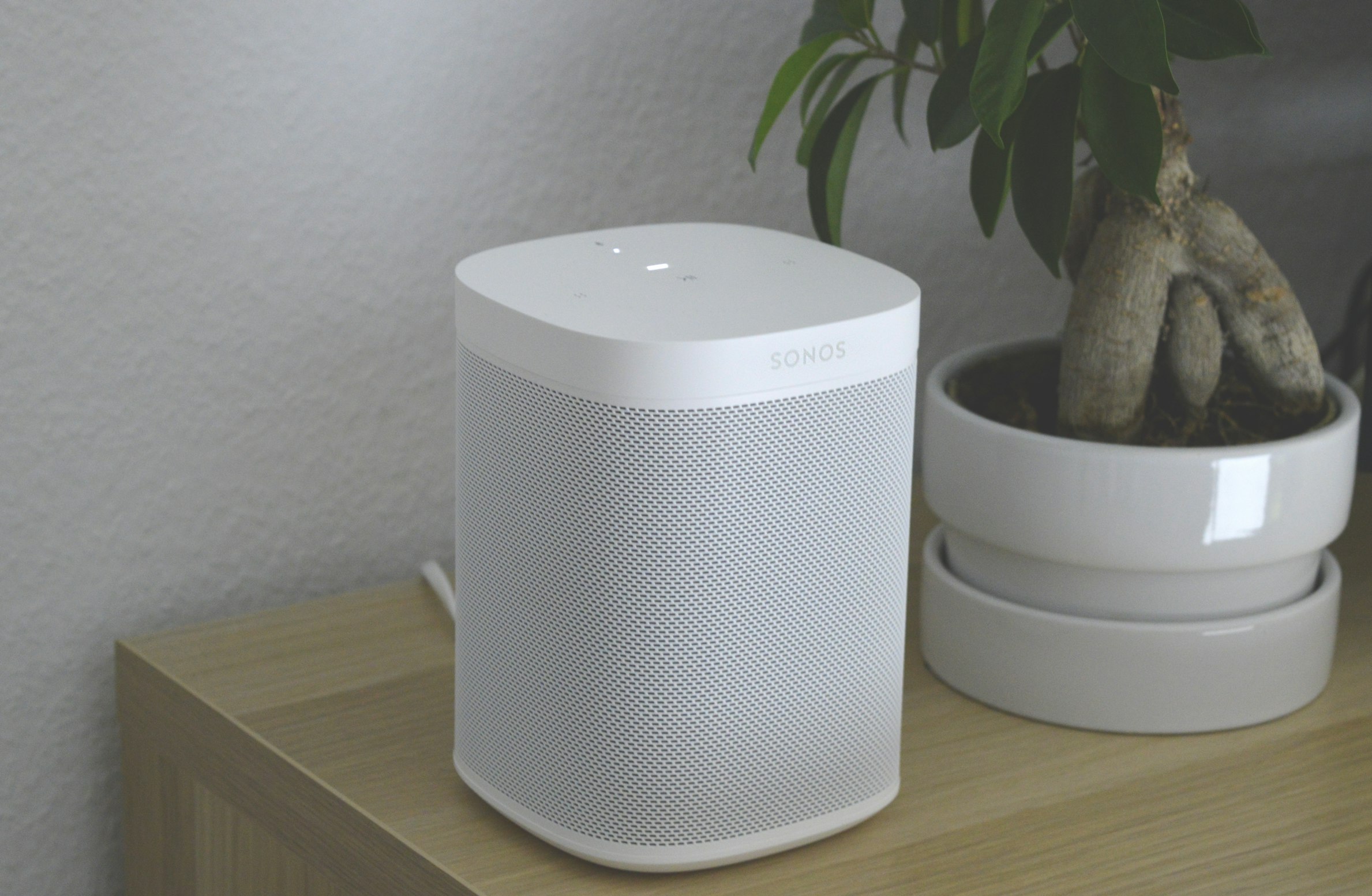 Smart Speaker