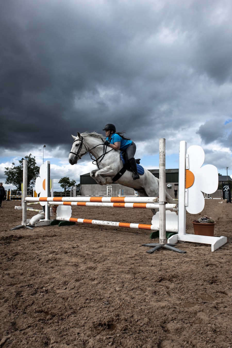 Grey horse over a jump