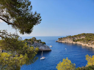 green trees on island during daytime
