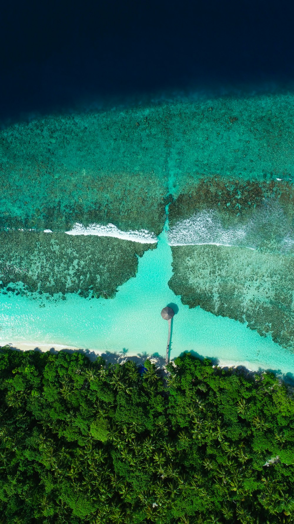 green trees near body of water during daytime