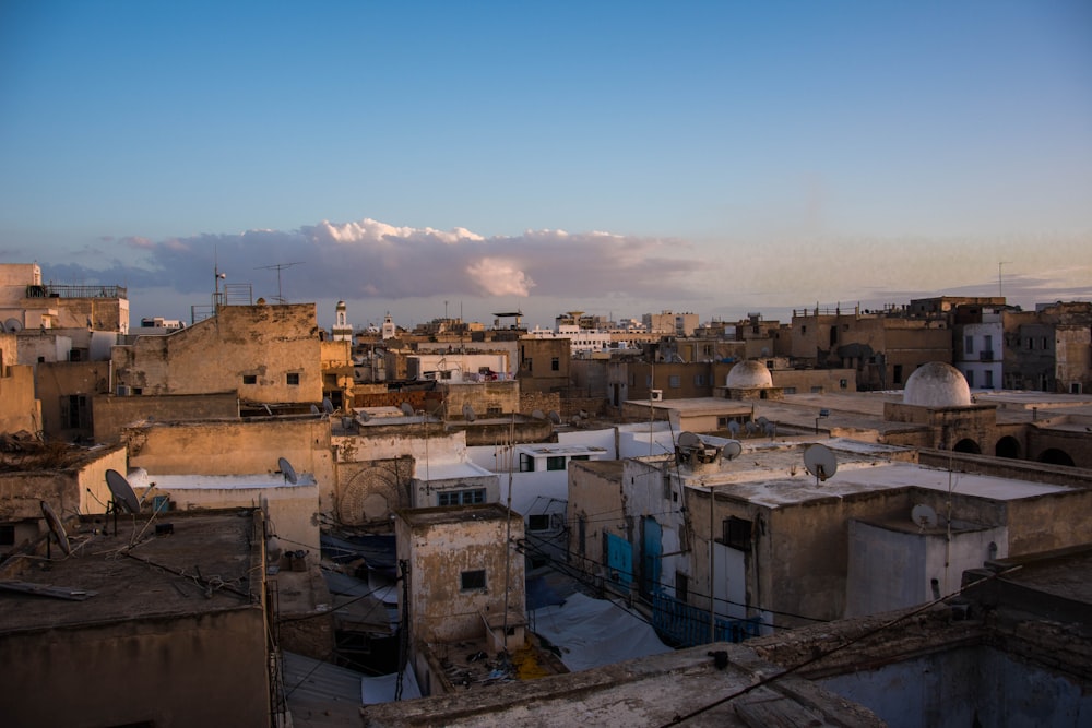 white and brown concrete buildings during daytime