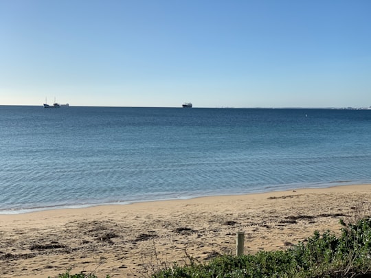 people on beach during daytime in Churchill Park Australia