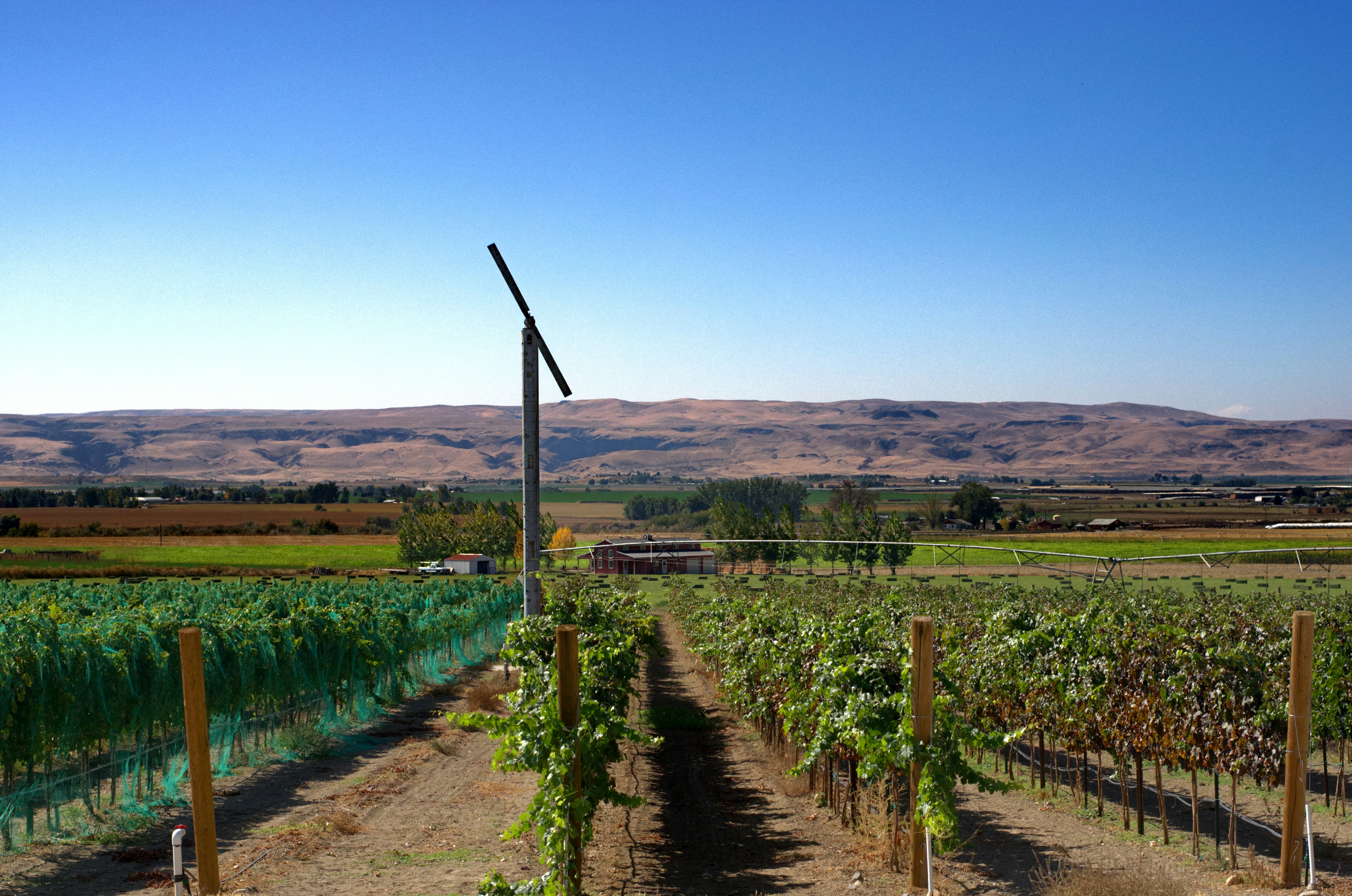 A scenic view of a vineyard in the Yarra Valley, a perfect romantic getaway