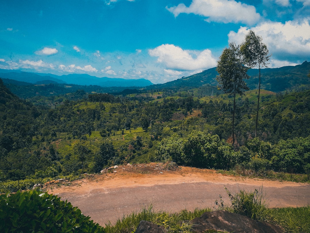 Hill station photo spot Malgolla Little Adam's Peak