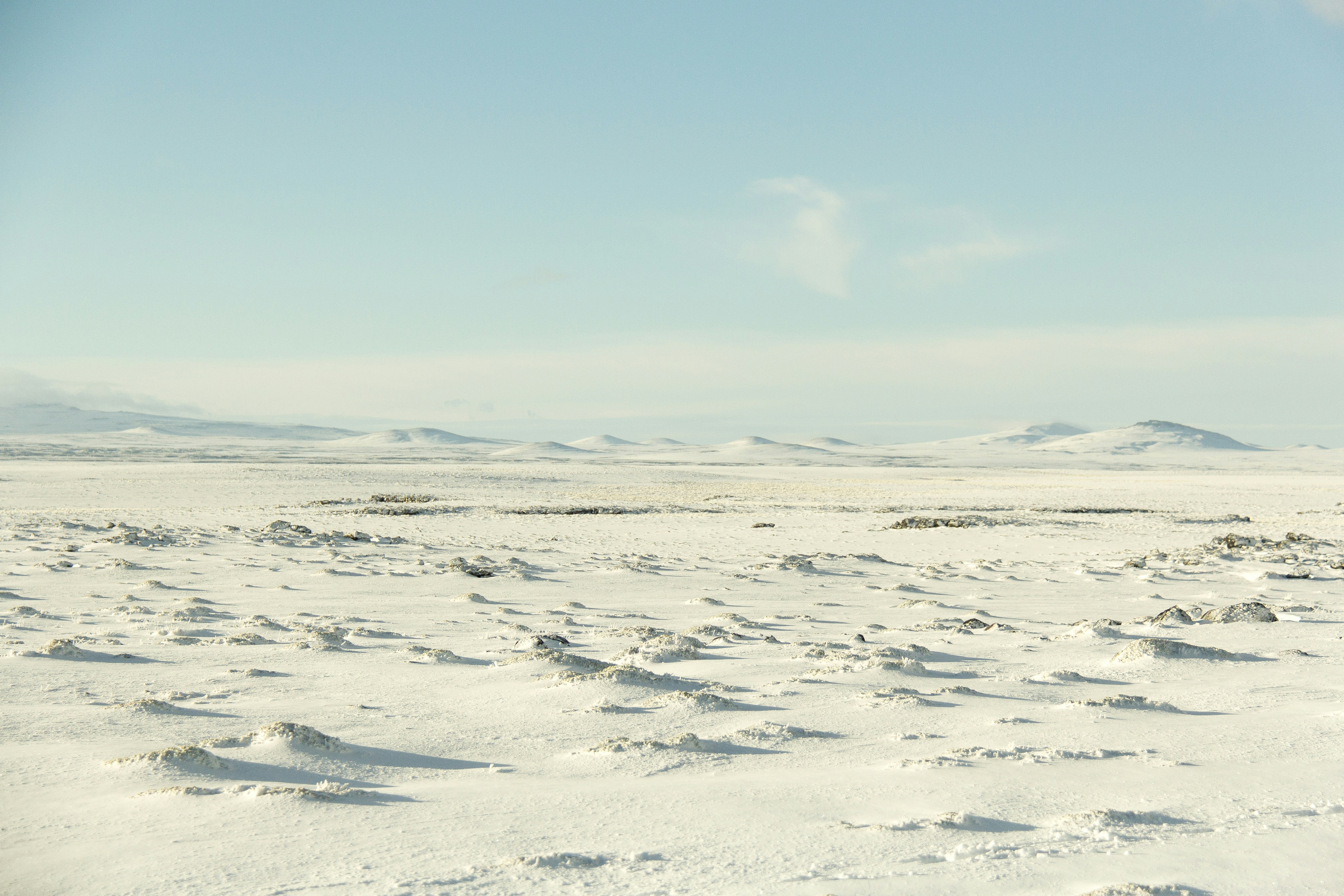 Photo by edwinharvey