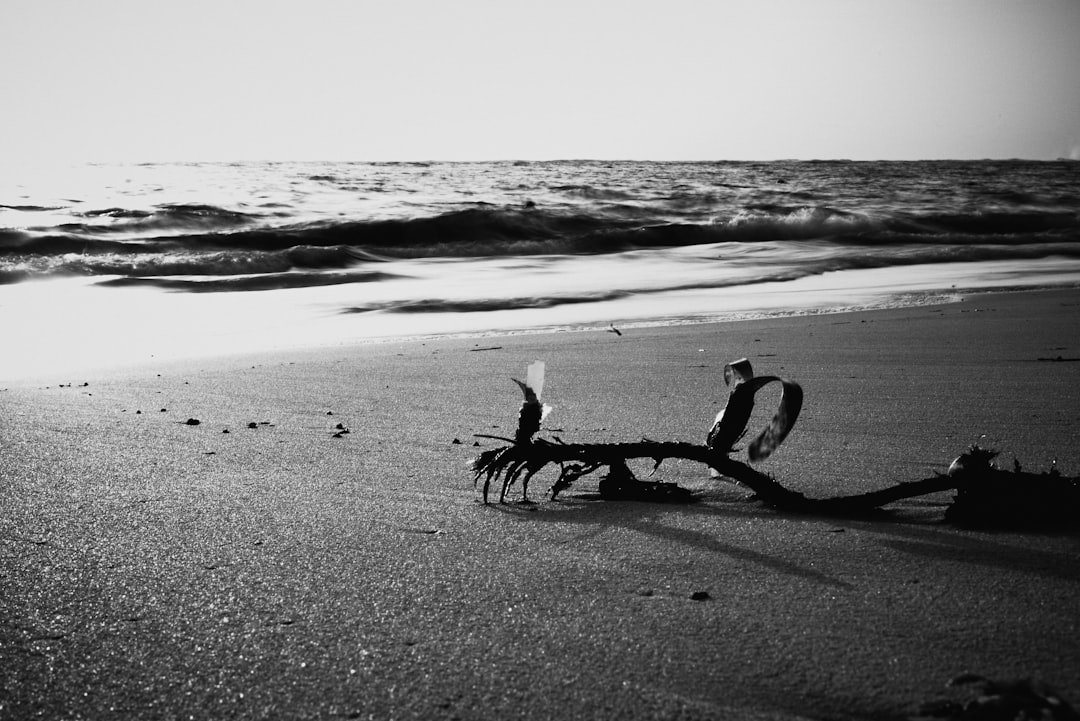 2 people walking on beach during daytime