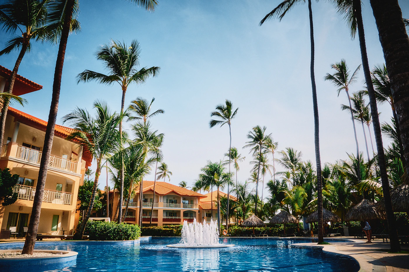 A resort pool under palms