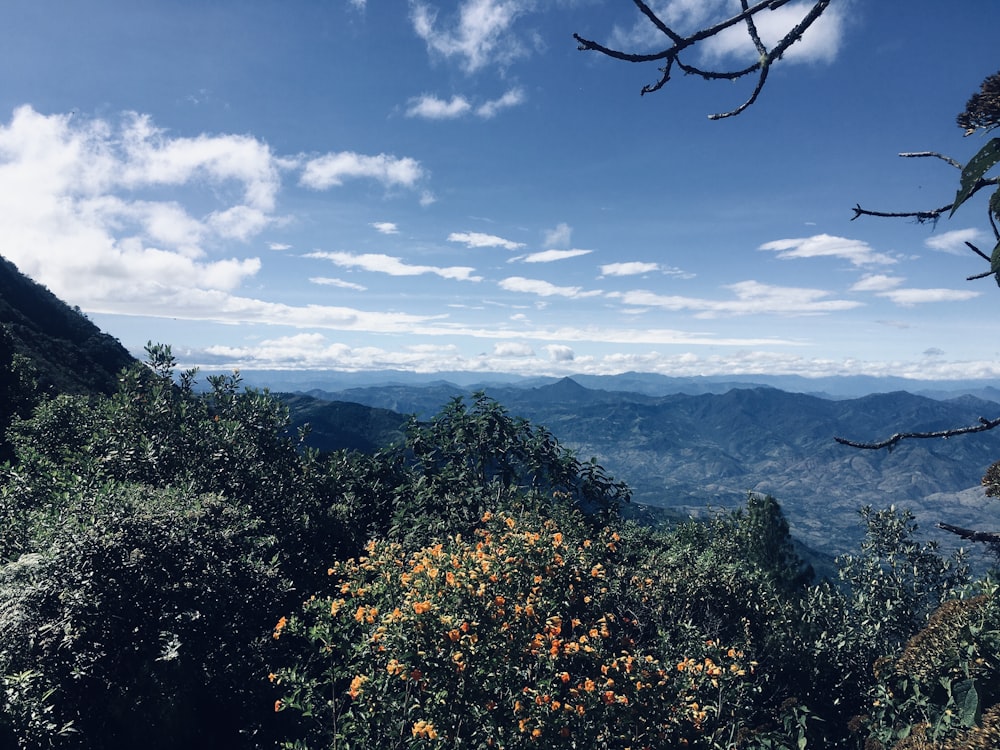 Des arbres verts et des montagnes sous un ciel bleu et des nuages blancs pendant la journée