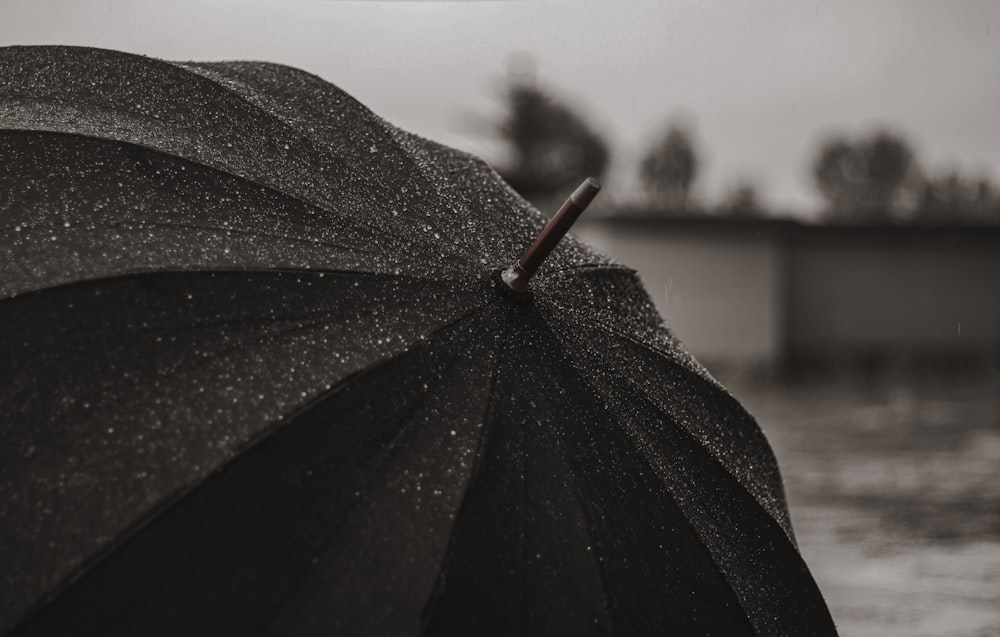 black umbrella with water droplets