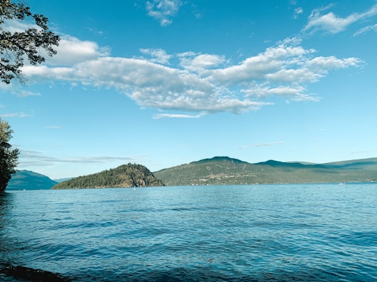 blue sea near green mountain under blue sky during daytime in Shuswap Lake Canada