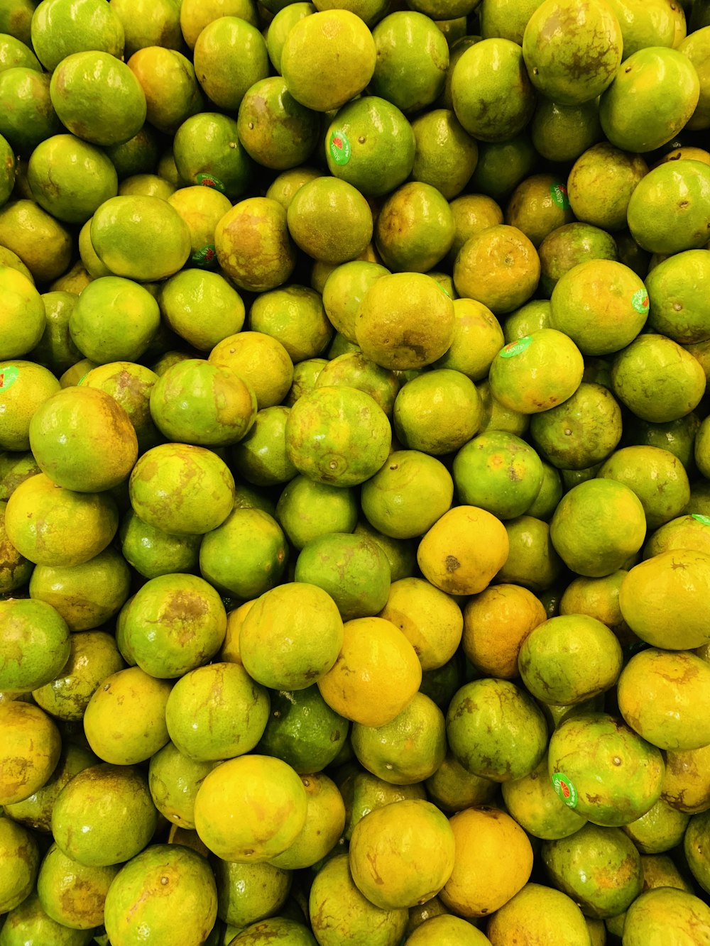yellow and green oval fruits