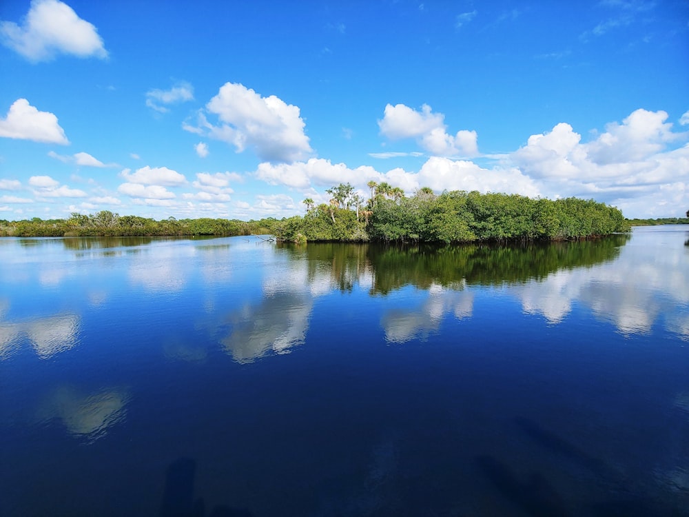 green trees beside lake under blue sky during daytime