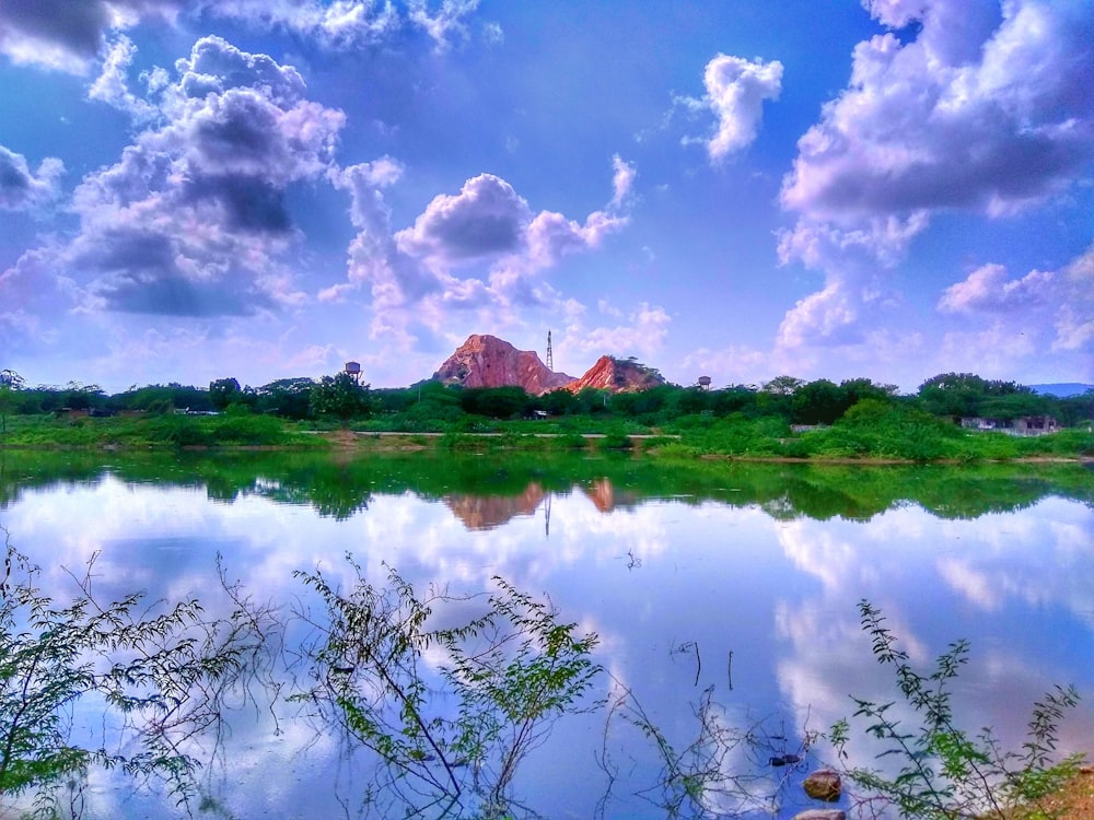 green grass field near lake under blue sky and white clouds during daytime