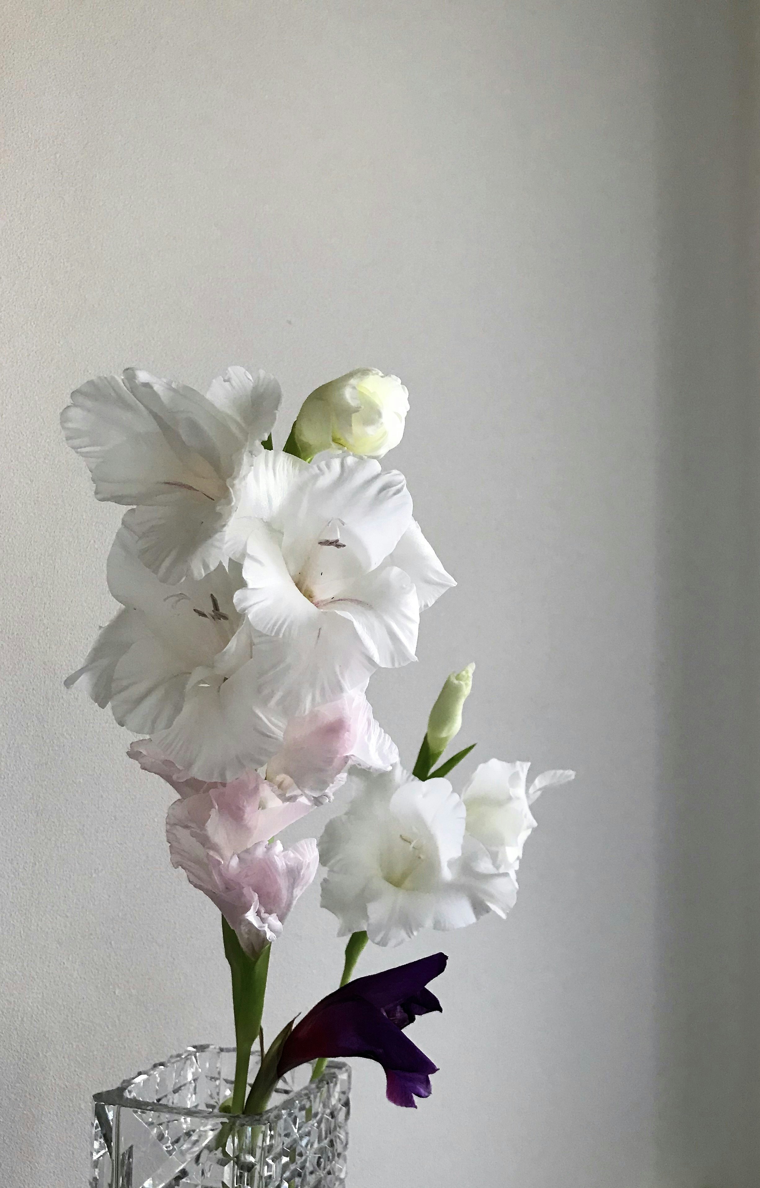 Photo by eriko_takahashi