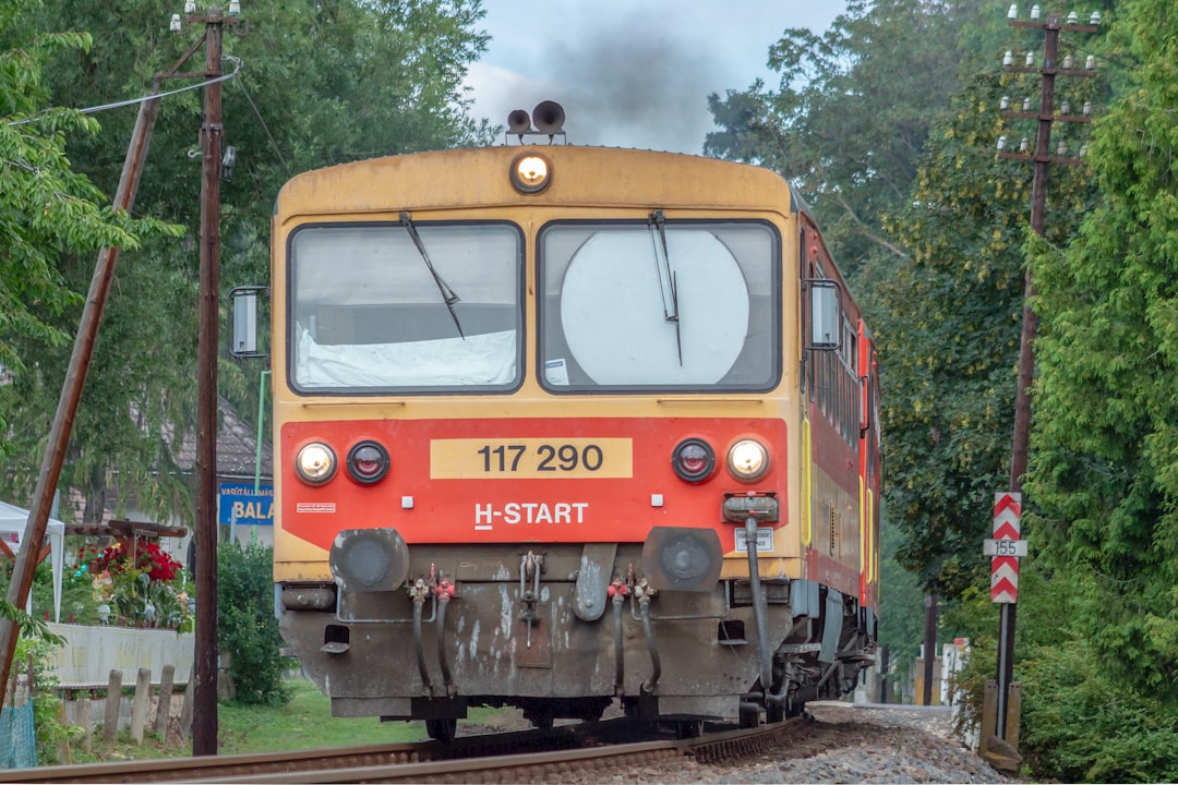 orange and blue train on rail tracks