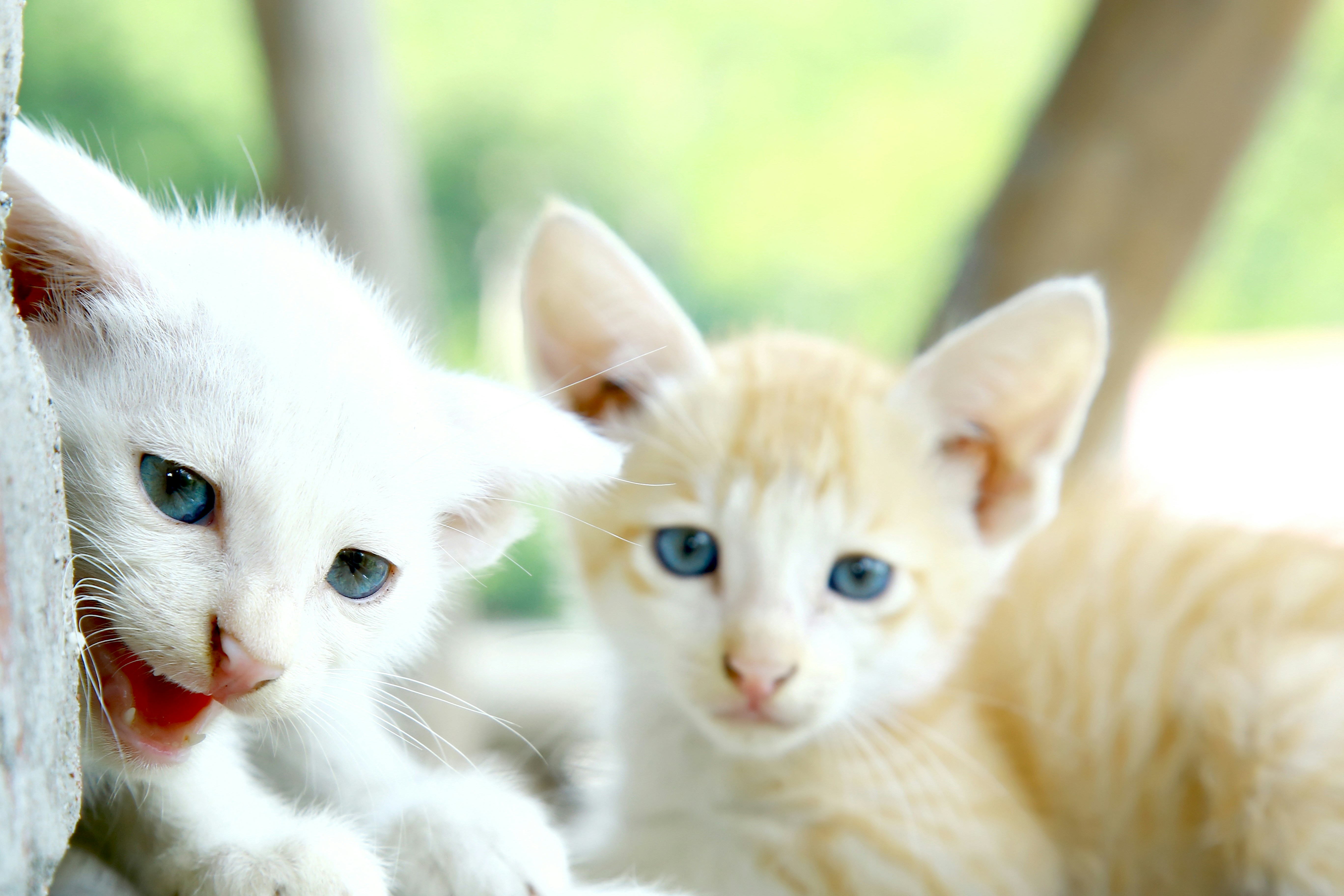 Photo by wilsanphotography