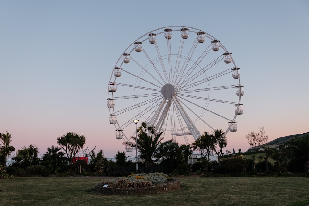 white ferris wheel on green grass field during daytime