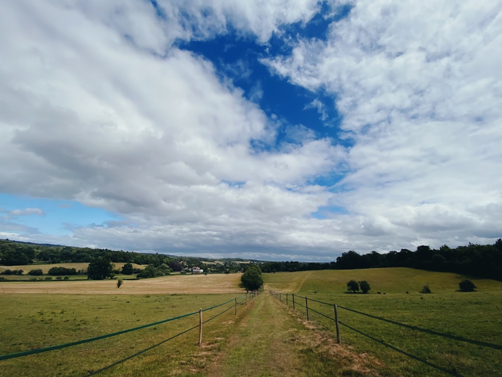 Grünes Grasfeld unter blauem Himmel und weißen Wolken tagsüber