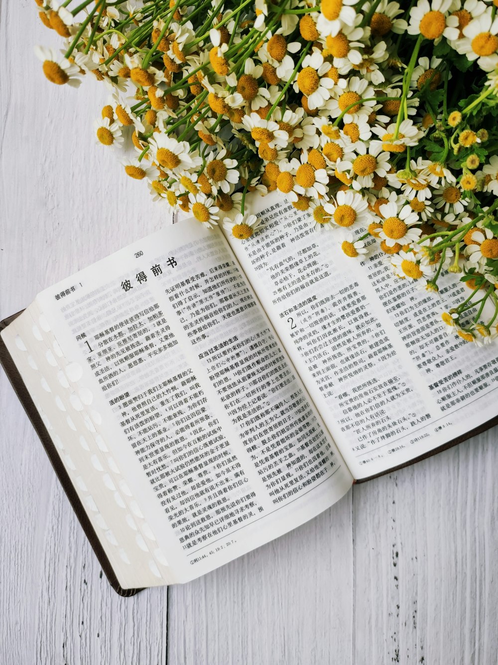 yellow flowers on book page