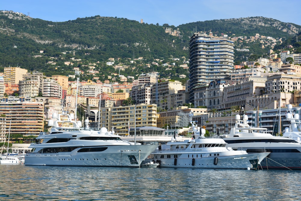 white cruise ship on sea near city buildings during daytime