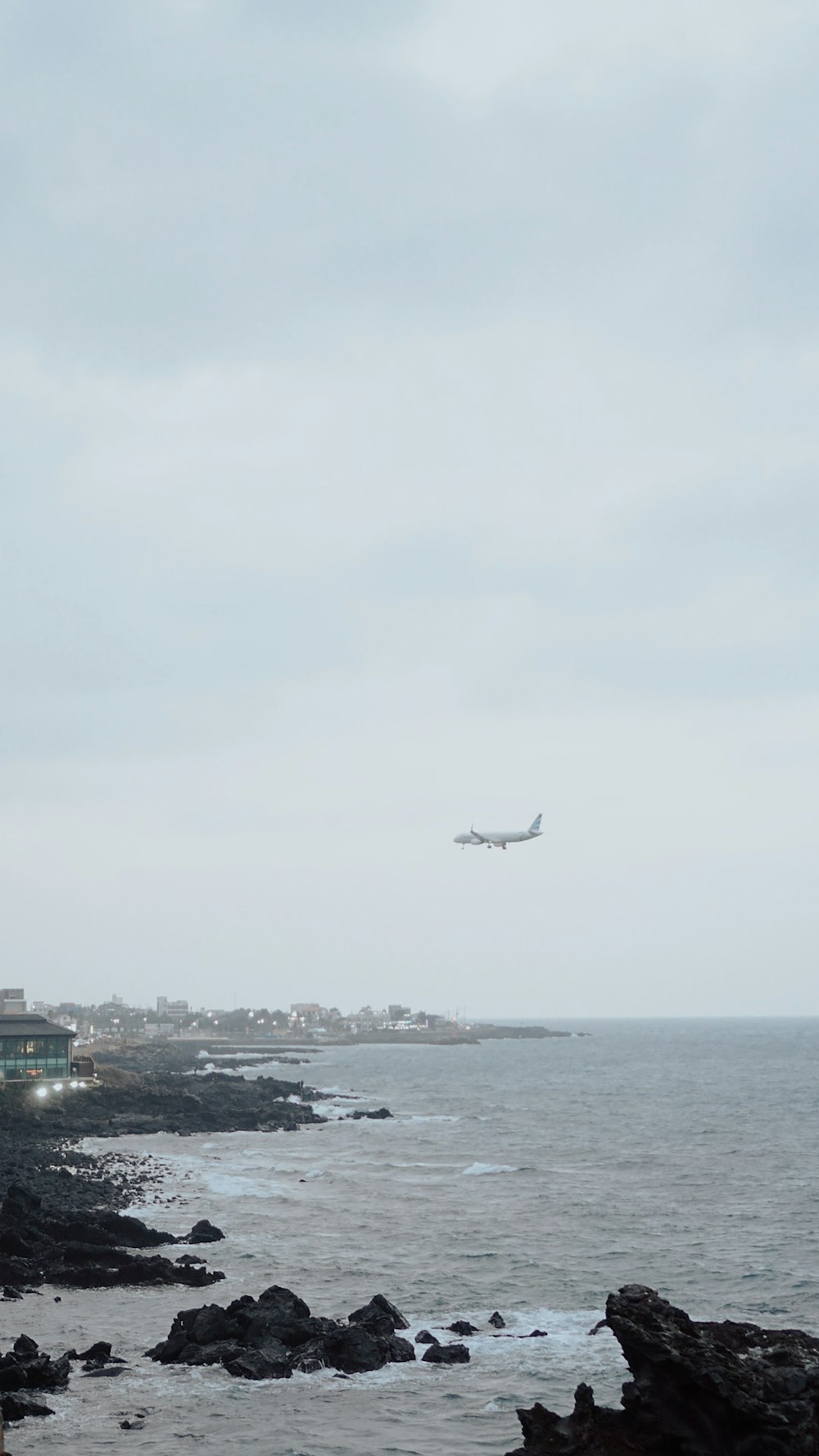 bird flying over the city during daytime