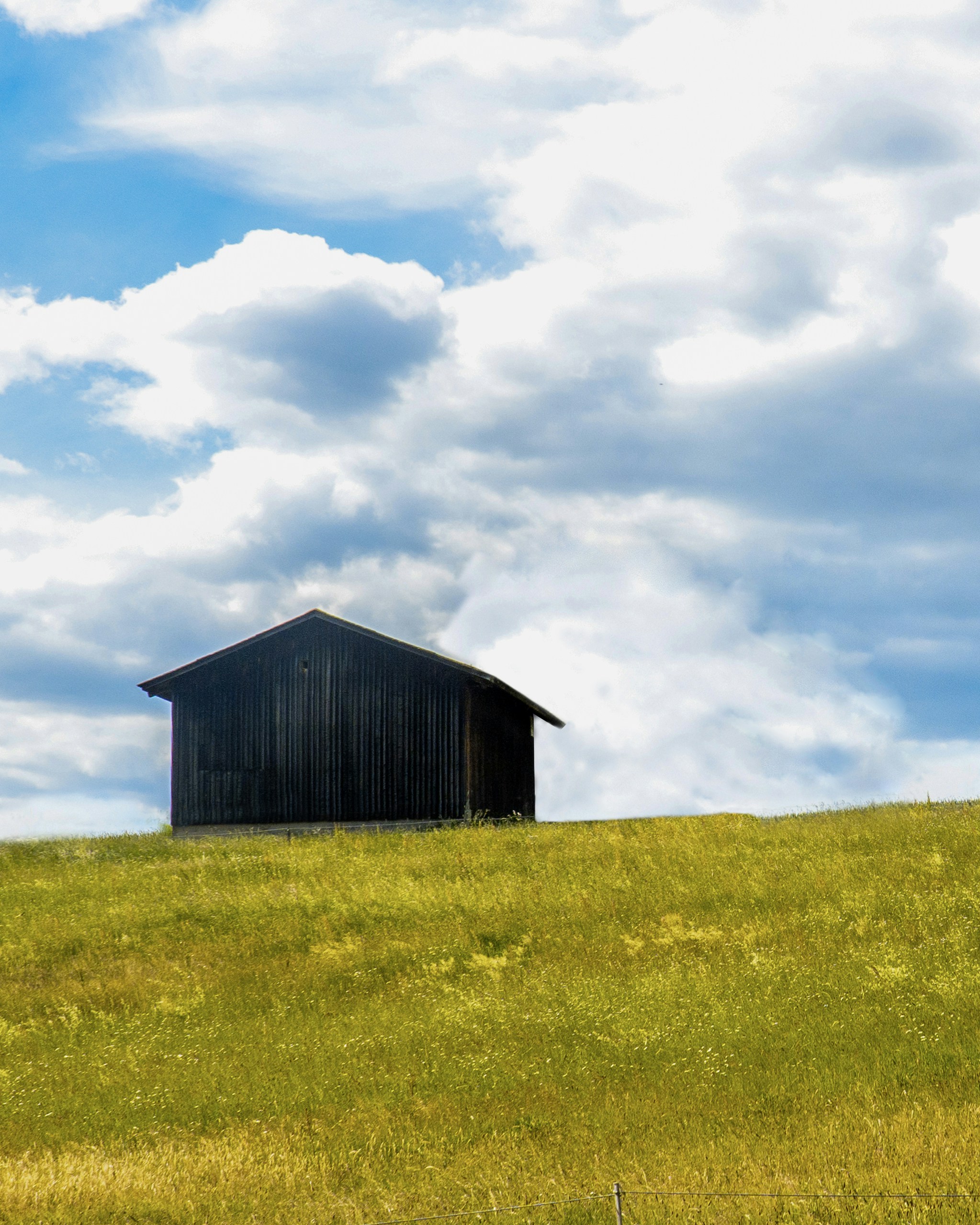 Photo by masoodaslami