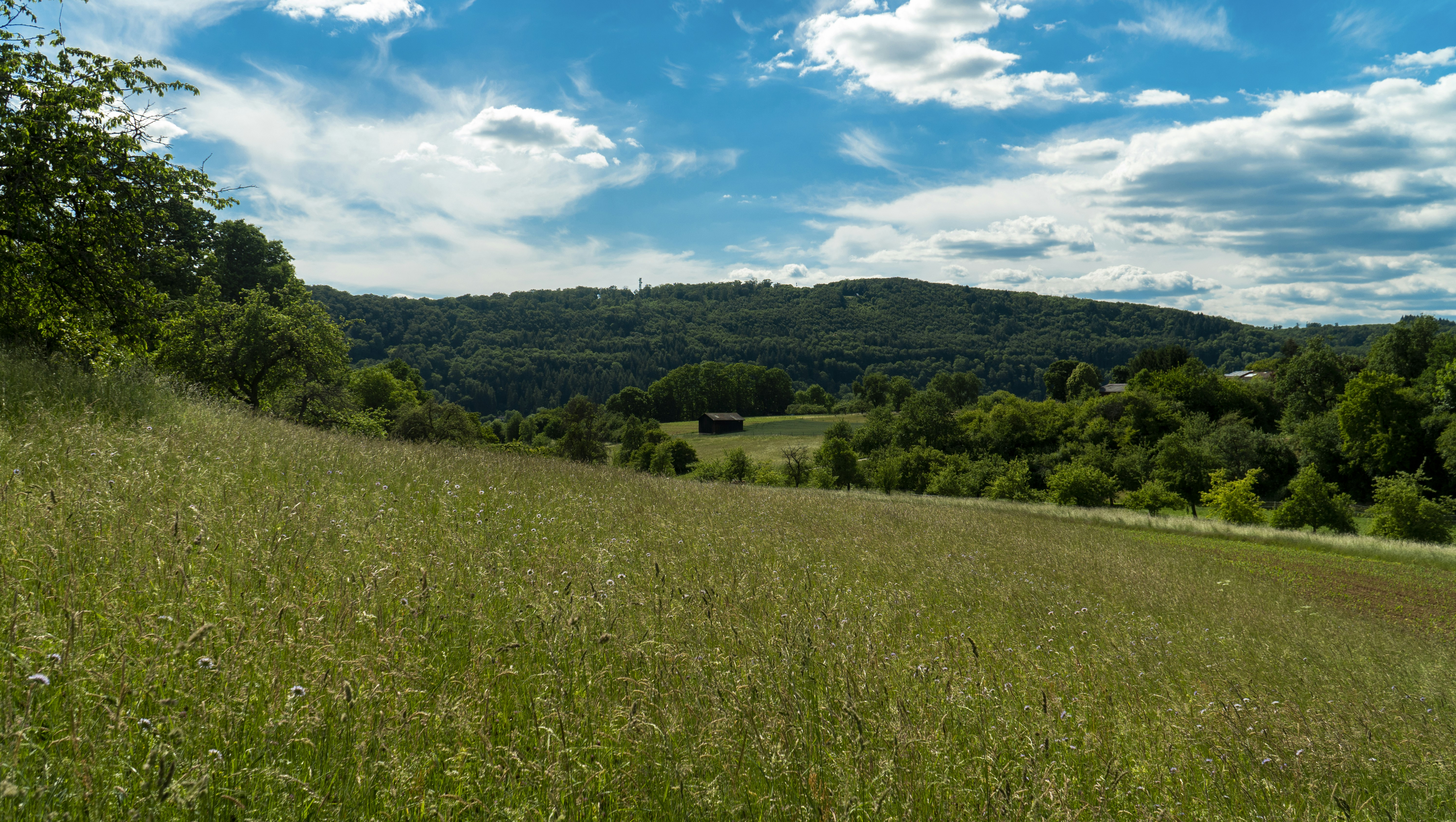 Photo by masoodaslami