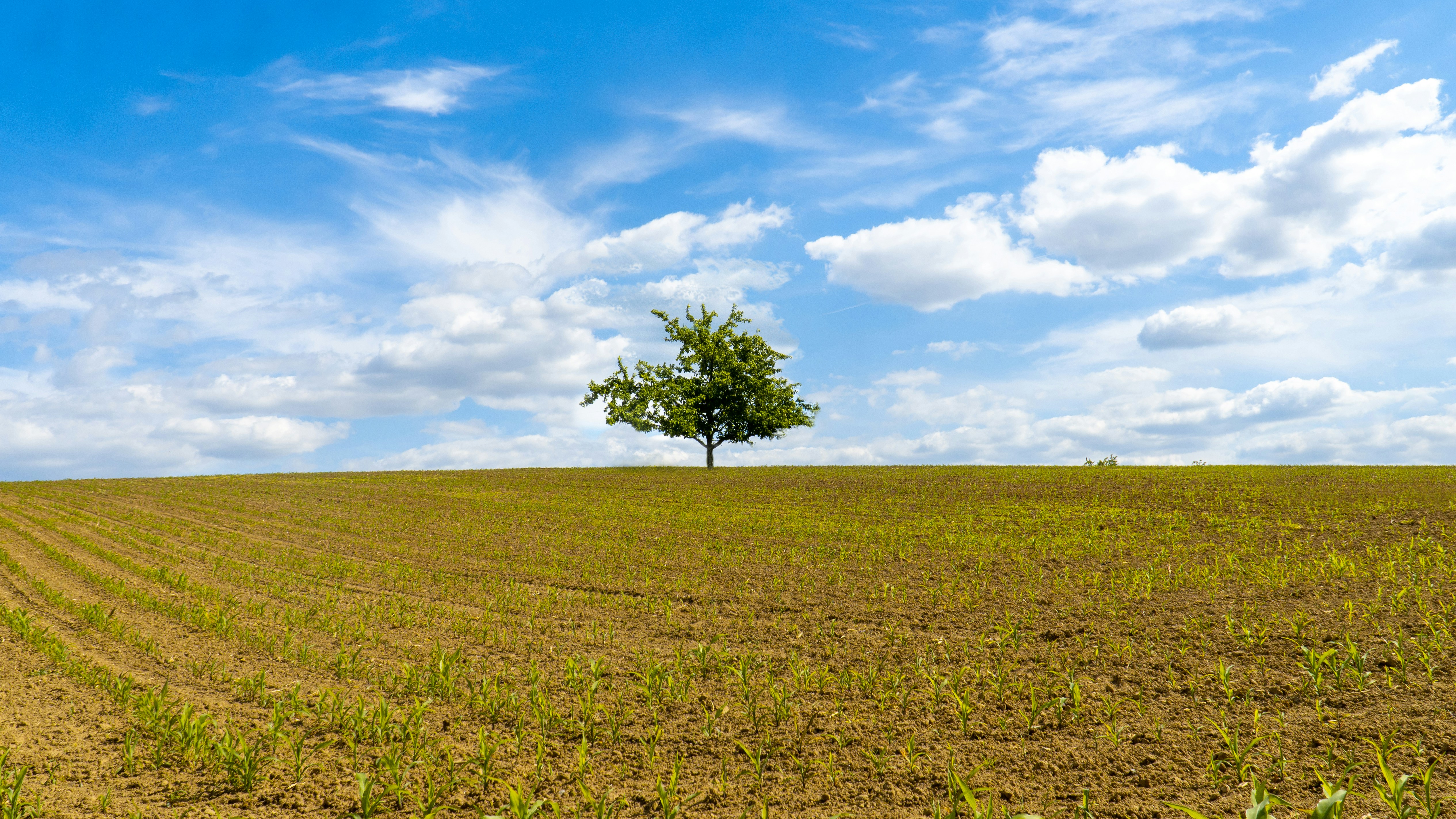 Photo by masoodaslami