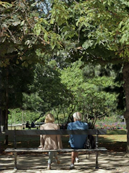 Happy elderly couple walking in a park during golden hour