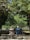 An older couple exercising together in a peaceful park.