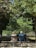 An older couple exercising together in a peaceful park.
