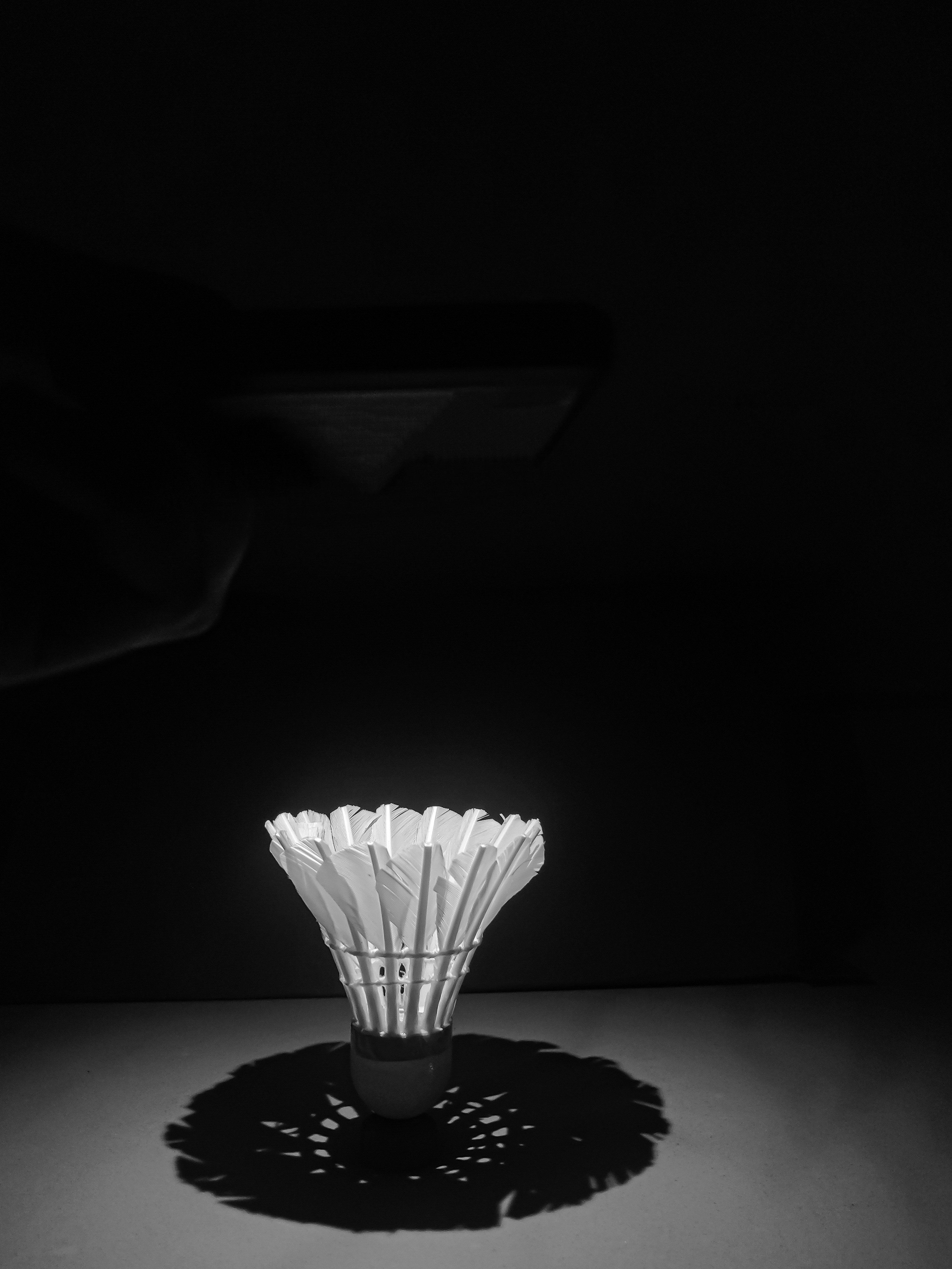 Premium Training Shuttlecocks