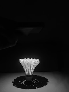 A black and white image showing a shuttlecock placed on a surface, illuminated from the side, casting a detailed shadow beneath it. The shuttlecock's feathers are sharply defined against the dark background.