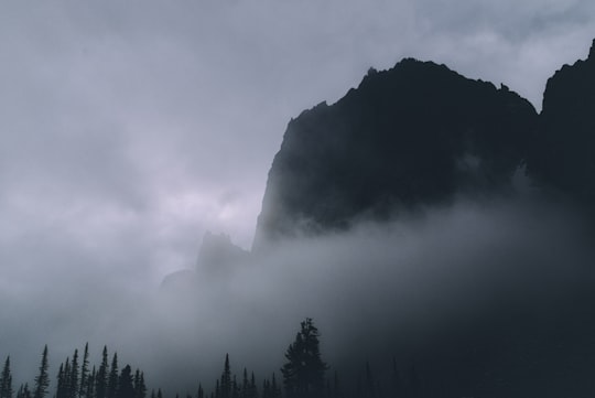 green trees on mountain under white clouds in Ergaki Russia