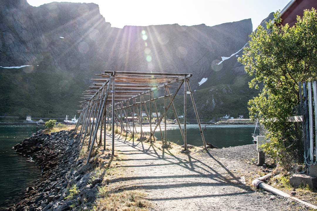 brown wooden bridge over river during daytime