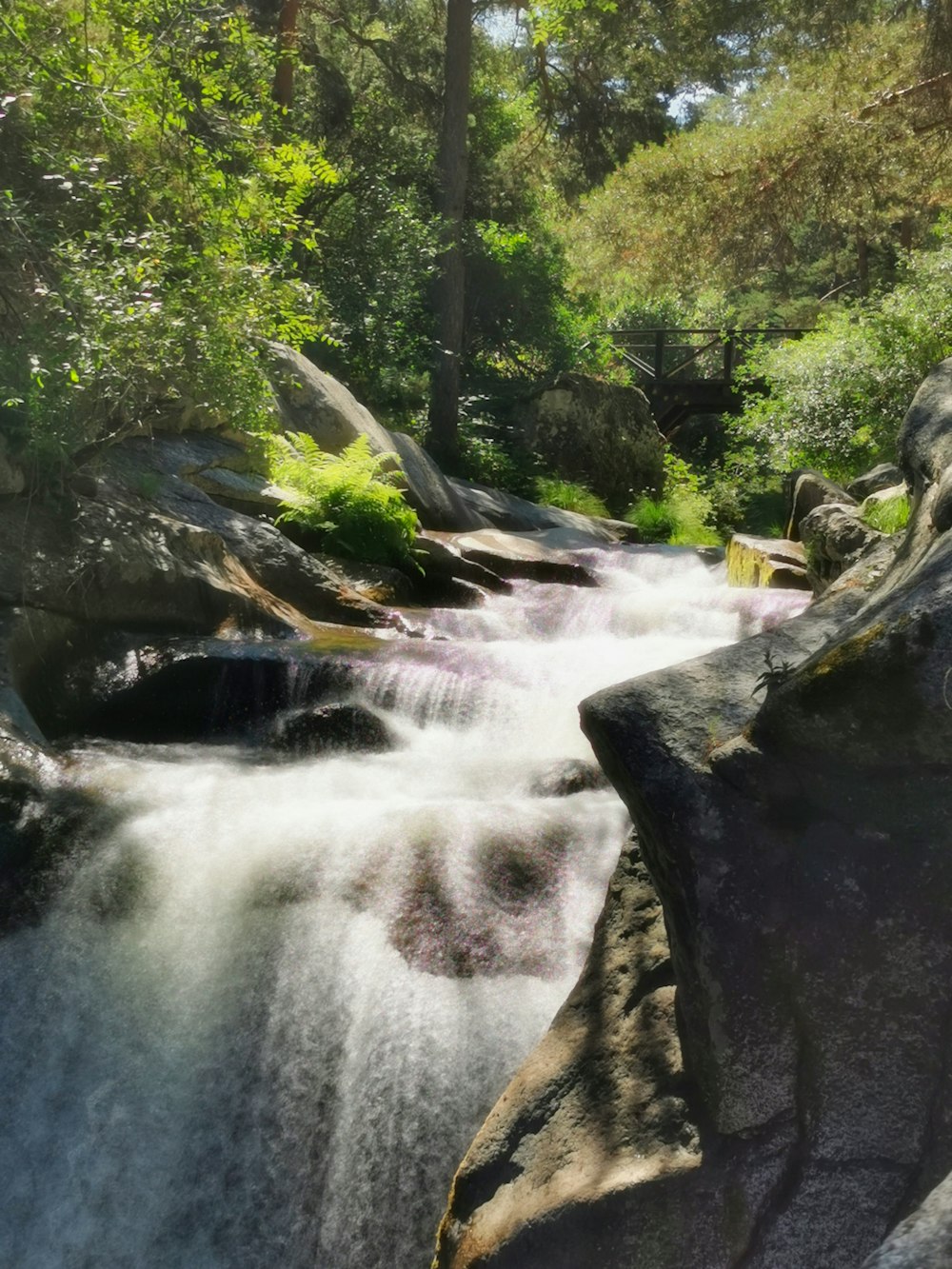 waterfalls between green trees during daytime