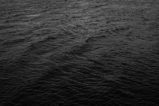 Minimalist black and white image with a soft wave overlay symbolizing calm ocean flow.