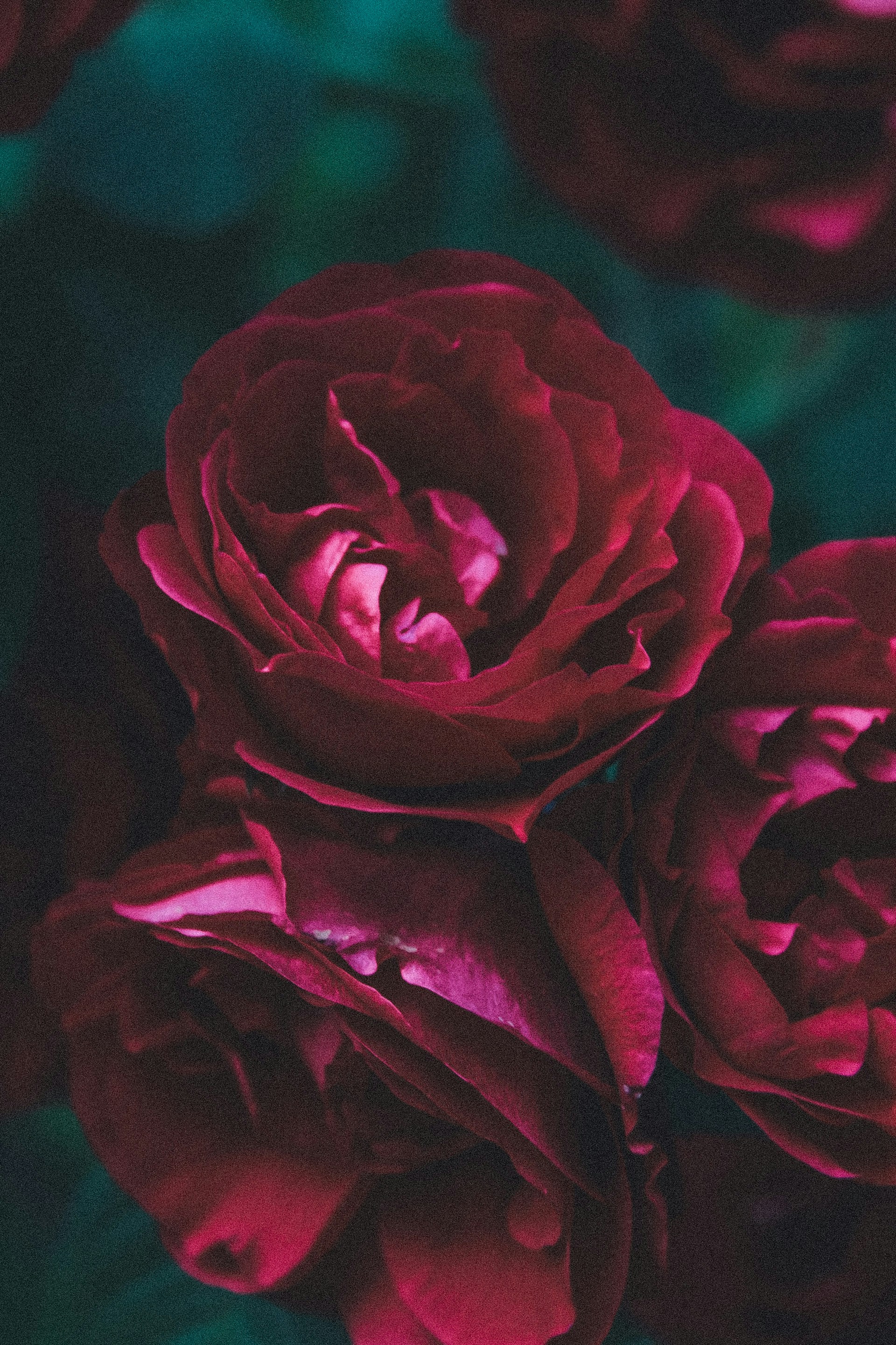 Photo by eugeniya_brvsk